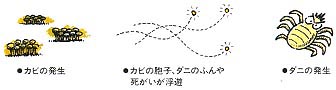 06_ketsuro03